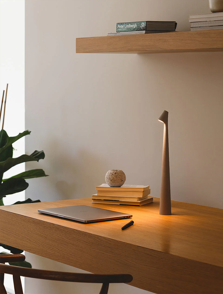 Portable Dimmable Nordic Table Lamp
Africa 3-in-1 Versatile Compact USB Rechargeable Ambient Light