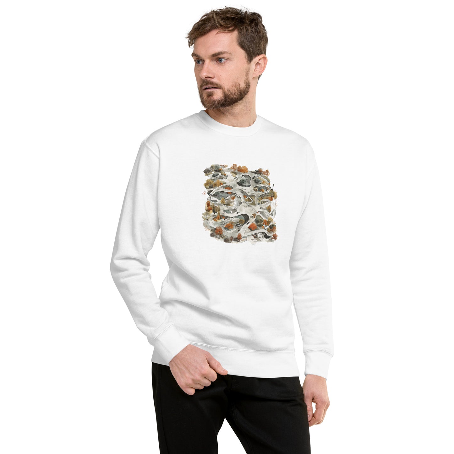 D-C Unisex Premium Sweatshirt