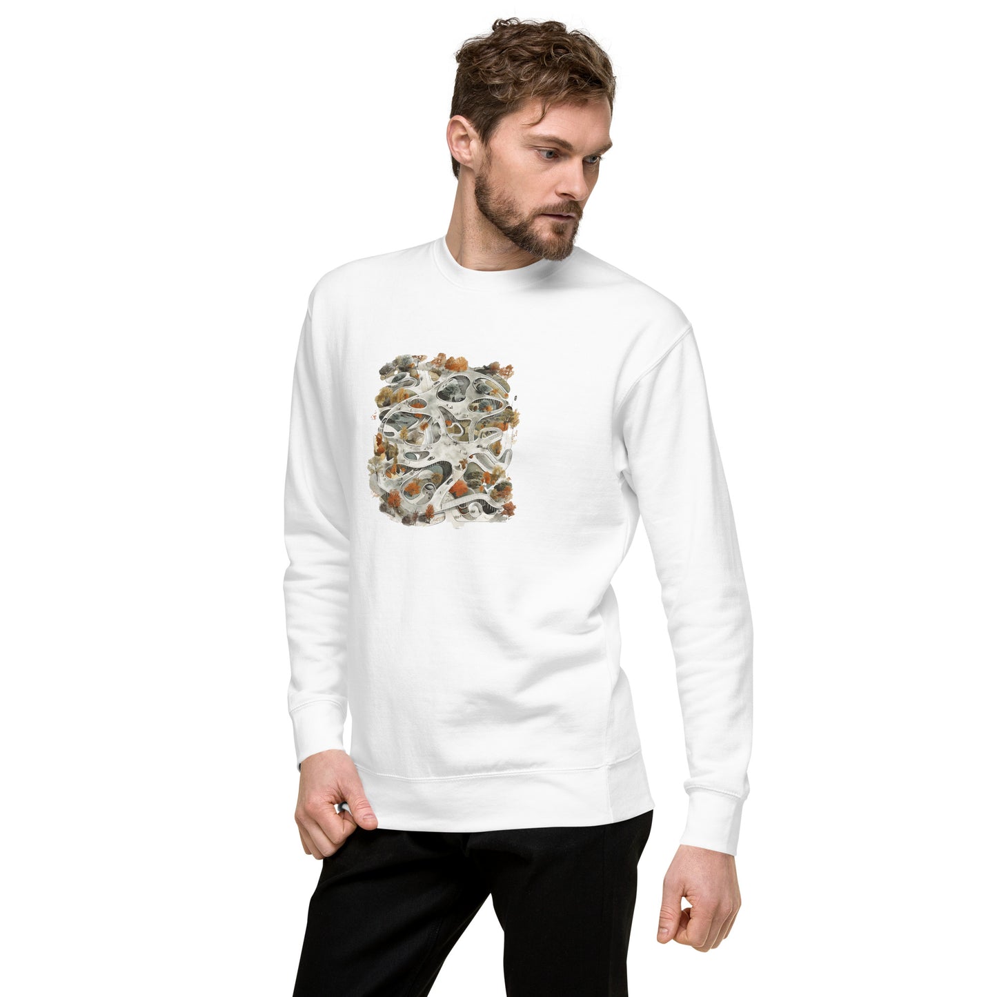D-C Unisex Premium Sweatshirt
