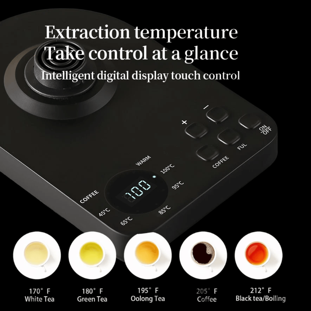 Electric Kettle Gooseneck - 304 Stainless Steel for Coffee & Tea, Anti-dry Protection, 1.0L-1200W Ultra Fast Boiling Hot Water