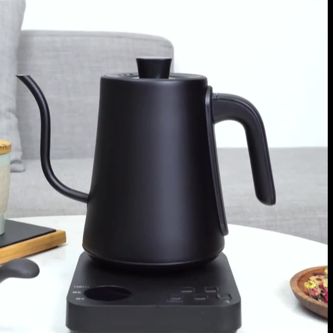 Electric Kettle Gooseneck - 304 Stainless Steel for Coffee & Tea, Anti-dry Protection, 1.0L-1200W Ultra Fast Boiling Hot Water