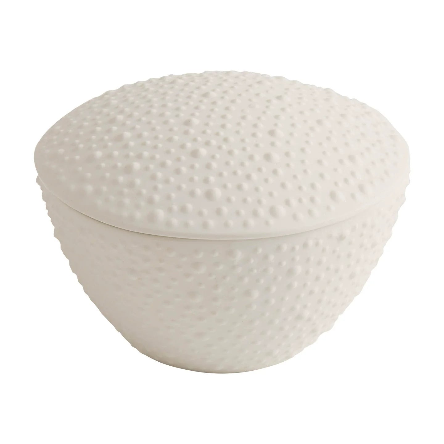 Matte Sea Urchin Texture Ceramic Bowl with Lid - Modern Dessert Cups