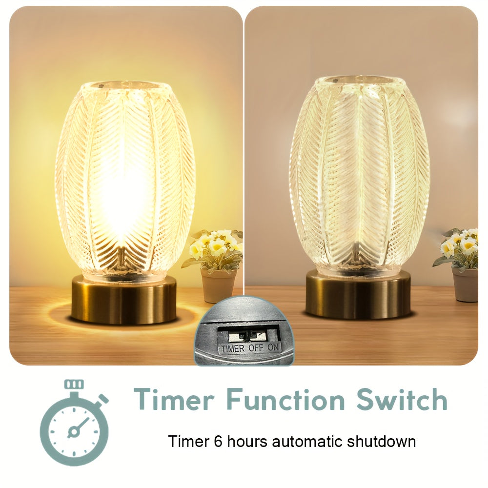 Battery Operated Lamp with Timer, Cordless Table Lamps for Room Decor, Small Table Lamp with LED Bulb, Glass Lamps Beside Table Light for Living Room, Bedroom